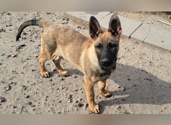 Kleine Freya ( * 01/2026 ) sucht ihre Familie