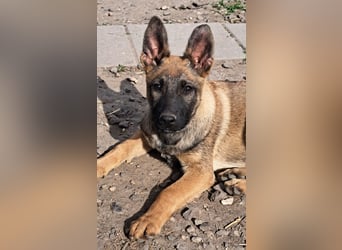 Kleine Freya ( * 01/2026 ) sucht ihre Familie