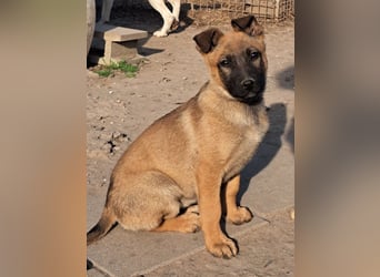 Kleine Freya ( * 01/2026 ) sucht ihre Familie