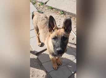 Kleine Freya ( * 01/2026 ) sucht ihre Familie