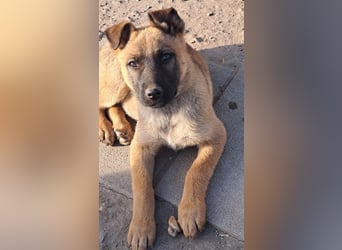 Kleine Freya ( * 01/2026 ) sucht ihre Familie