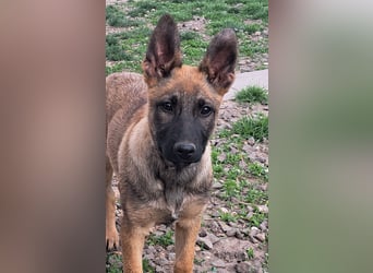 Kleine Freya ( * 01/2026 ) sucht ihre Familie