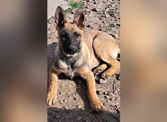 Kleine Freya ( * 01/2026 ) sucht ihre Familie