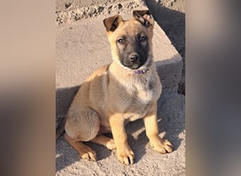 Kleine Freya ( * 01/2026 ) sucht ihre Familie