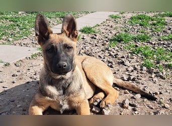 Kleine Freya ( * 01/2026 ) sucht ihre Familie