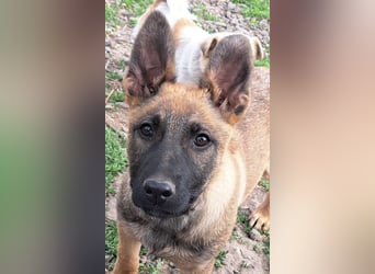 Kleine Freya ( * 01/2026 ) sucht ihre Familie