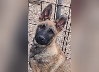 Kleine Freya ( * 01/2026 ) sucht ihre Familie