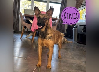 Stella, ein winziges zartes sanftes Wesen