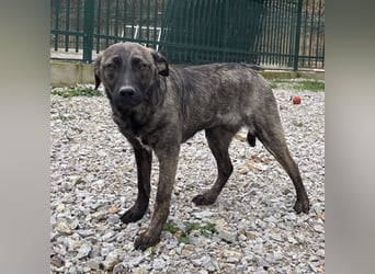Stella, ein winziges zartes sanftes Wesen