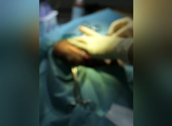 JOJO sucht ein Zuhause JOJO sucht ein Zuhause