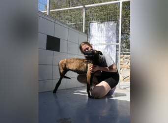 JOJO sucht ein Zuhause JOJO sucht ein Zuhause