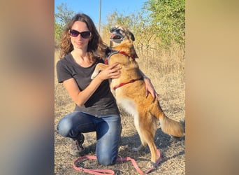 Sanfte Arisha sucht einfühlsames Zuhause