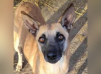 TALVI - gefunden auf der Straße