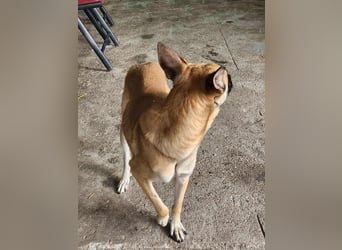 TALVI - gefunden auf der Straße