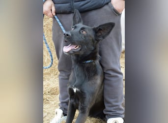 Piroska von kettenlos