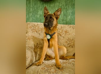 Skalina sucht ihr  Glück...