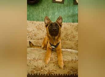 Skalina sucht ihr  Glück...