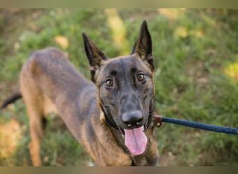 Chip 282969 sucht ein zu Hause
