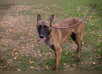 Airi: Sucht ein Zuhause