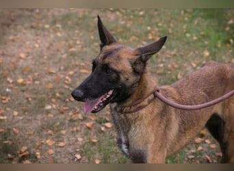 Airi: Sucht ein Zuhause