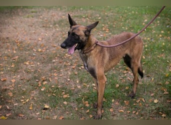 Airi: Sucht ein Zuhause