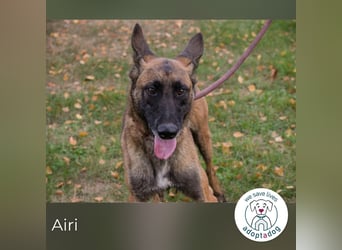 Airi: Sucht ein Zuhause