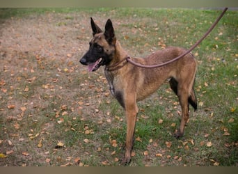 Airi: Sucht ein Zuhause