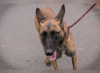 Airi: Sucht ein Zuhause