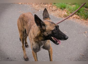 Airi: Sucht ein Zuhause