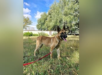 Dia, geboren 17.01.2026, 60cm sucht ihr Abenteuer