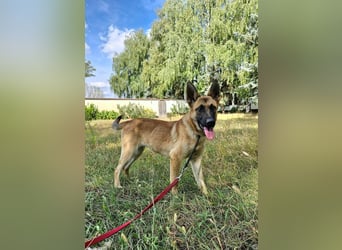 Dia, geboren 17.01.2026, 60cm sucht ihr Abenteuer