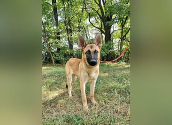 Dia, geboren 17.01.2026, 60cm sucht ihr Abenteuer
