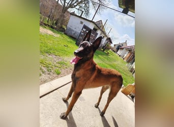 RA - ich wäre so gerne ein Teil DEINER Familie!