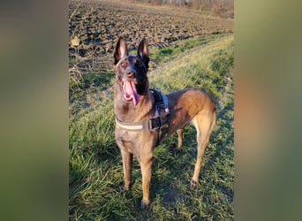 RA - ich wäre so gerne ein Teil DEINER Familie!