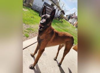 RA - ich wäre so gerne ein Teil DEINER Familie!