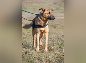 Anton SI - fröhlich, menschenbezogen