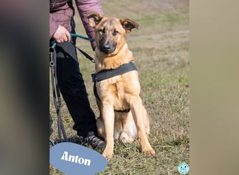 Anton - zurückhaltend, schüchtern