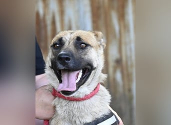 Dolores SI – lustig, neugierig