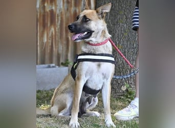 Dolores SI – lustig, neugierig