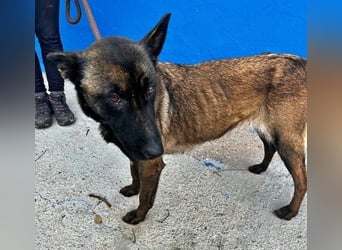 LILA will gefördert werden