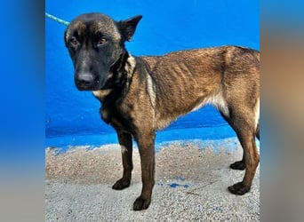 LILA will gefördert werden