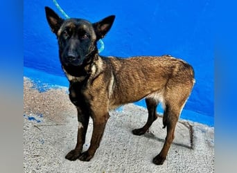 LILA will gefördert werden