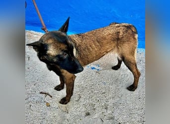 LILA will gefördert werden