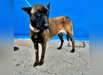 LILA will gefördert werden