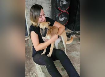 TALVI ♥ - Gefunden auf der Straße in Rumänien