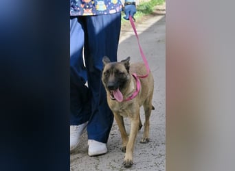 Celine - zutraulich, verschmust und lernwillig