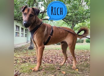 Rich ein richtig toller Kerl