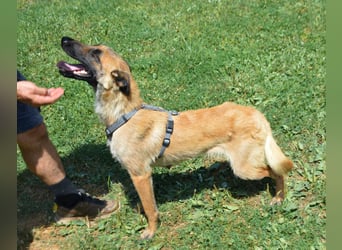 Enya - mit trauriger Vergangenheit