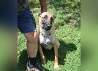 Enya - mit trauriger Vergangenheit