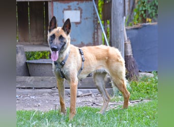 Enya - mit trauriger Vergangenheit